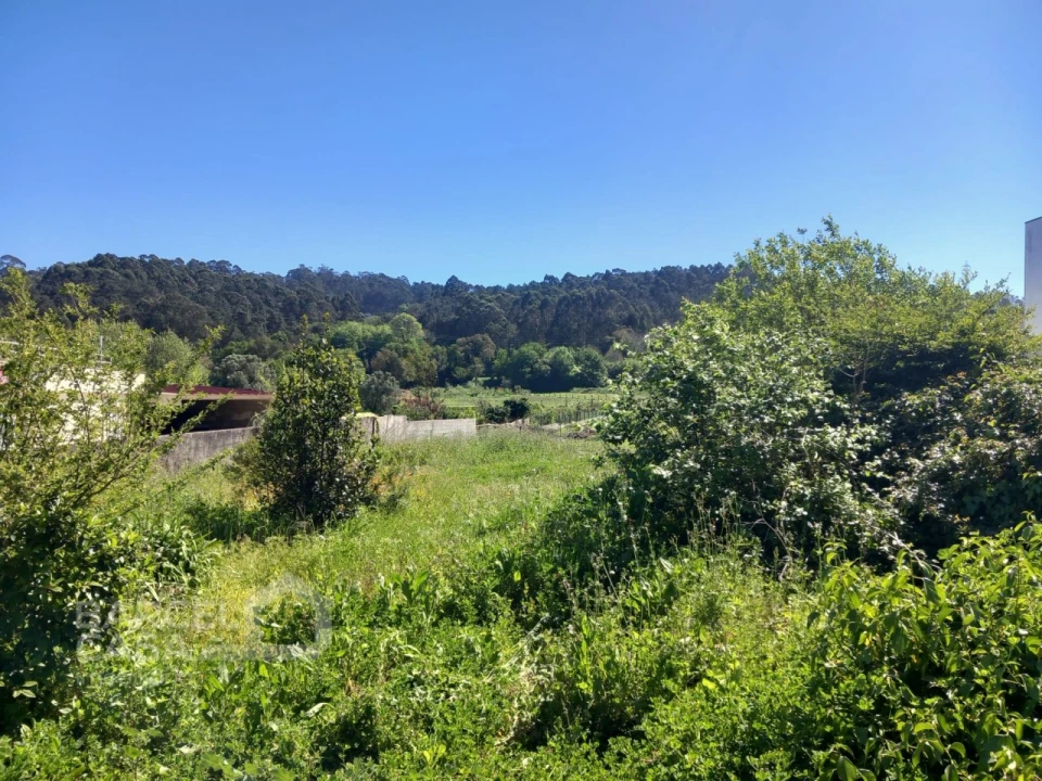 Terreno para Venda em Antas Foto 5
