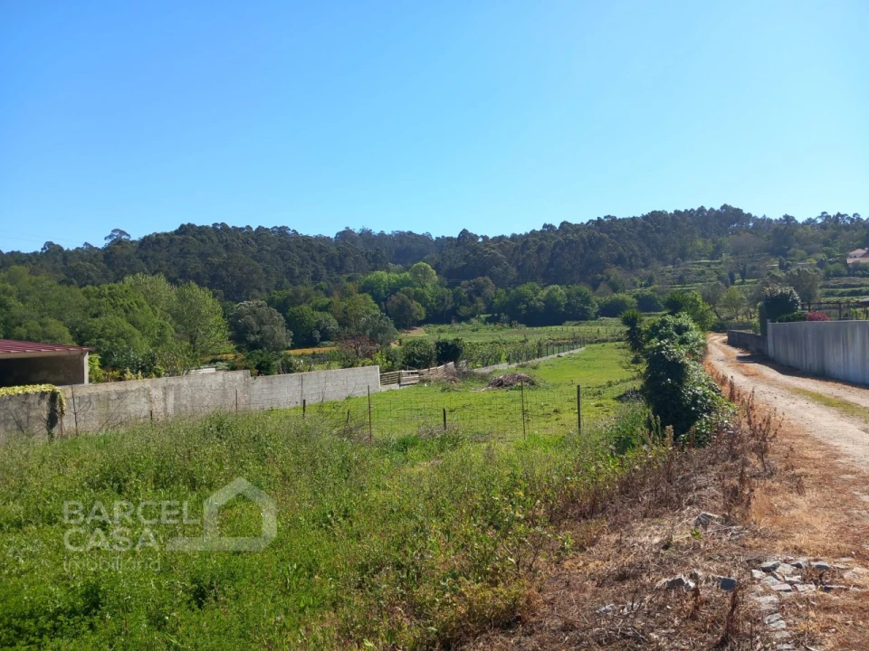 Terreno para Venda em Antas Foto 6