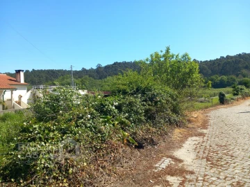 Terreno para Venda em Antas