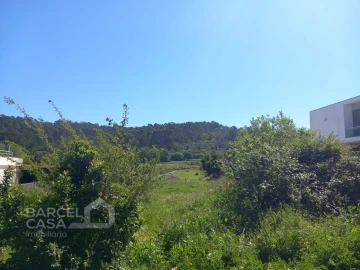 Terreno para Venda em Antas