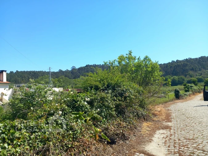 Terreno para Venda em Antas Foto 3