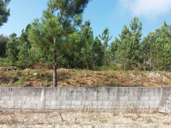 Terreno para Venda em Milhazes, Vilar de Figos e Faria Foto 7