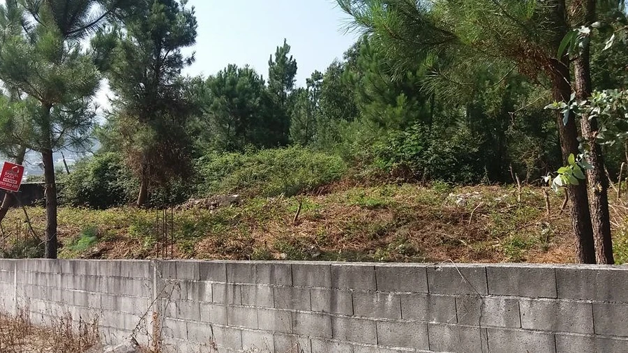 Terreno para Venda em Milhazes, Vilar de Figos e Faria