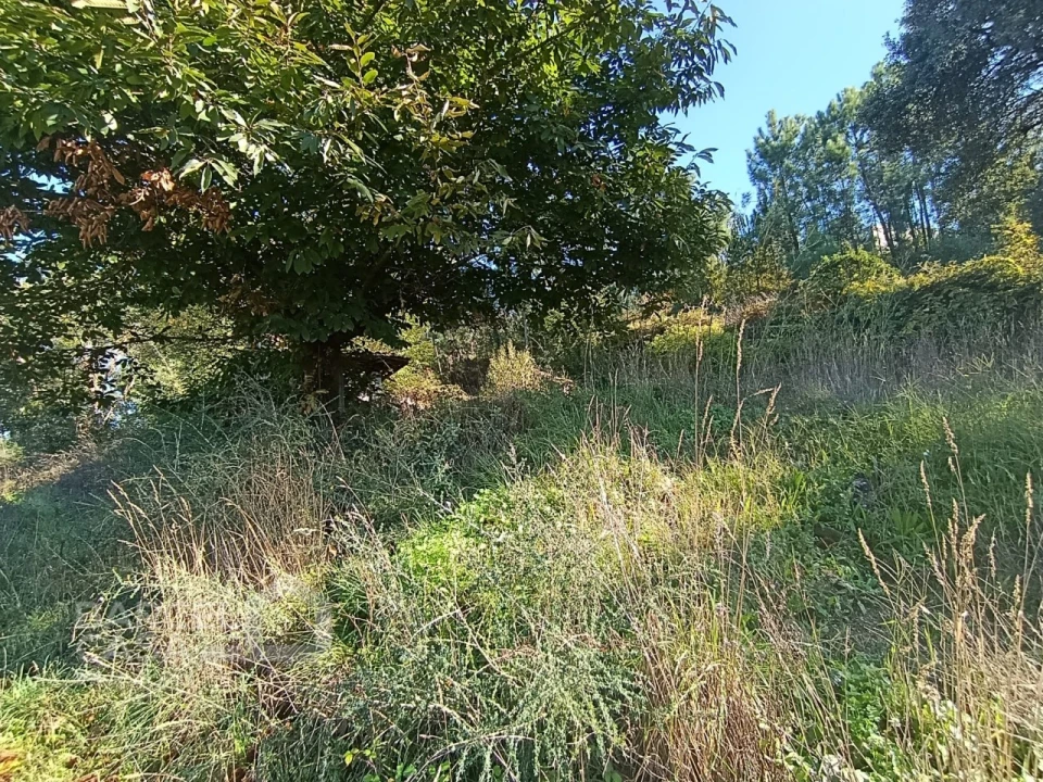 Terreno para Venda em Gamil e Midões Foto 4