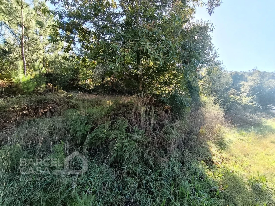 Terreno para Venda em Gamil e Midões Foto 6