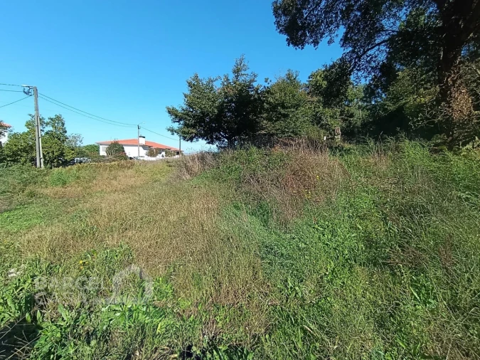 Terreno para Venda em Gamil e Midões Foto 2