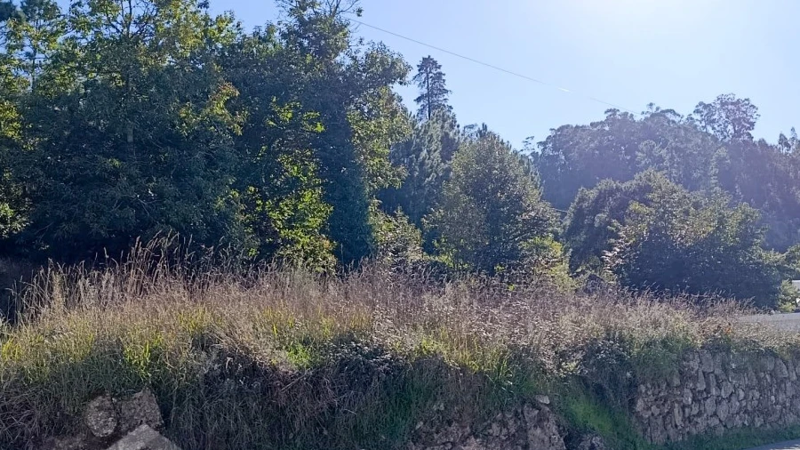 Terreno para Venda em Gamil e Midões