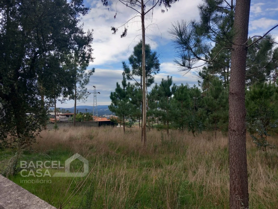 Terreno para Venda em Alvelos Foto 2