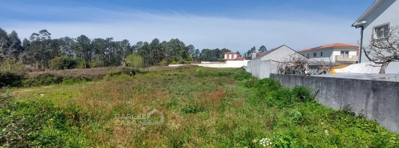 Terreno para Venda em Alvarães