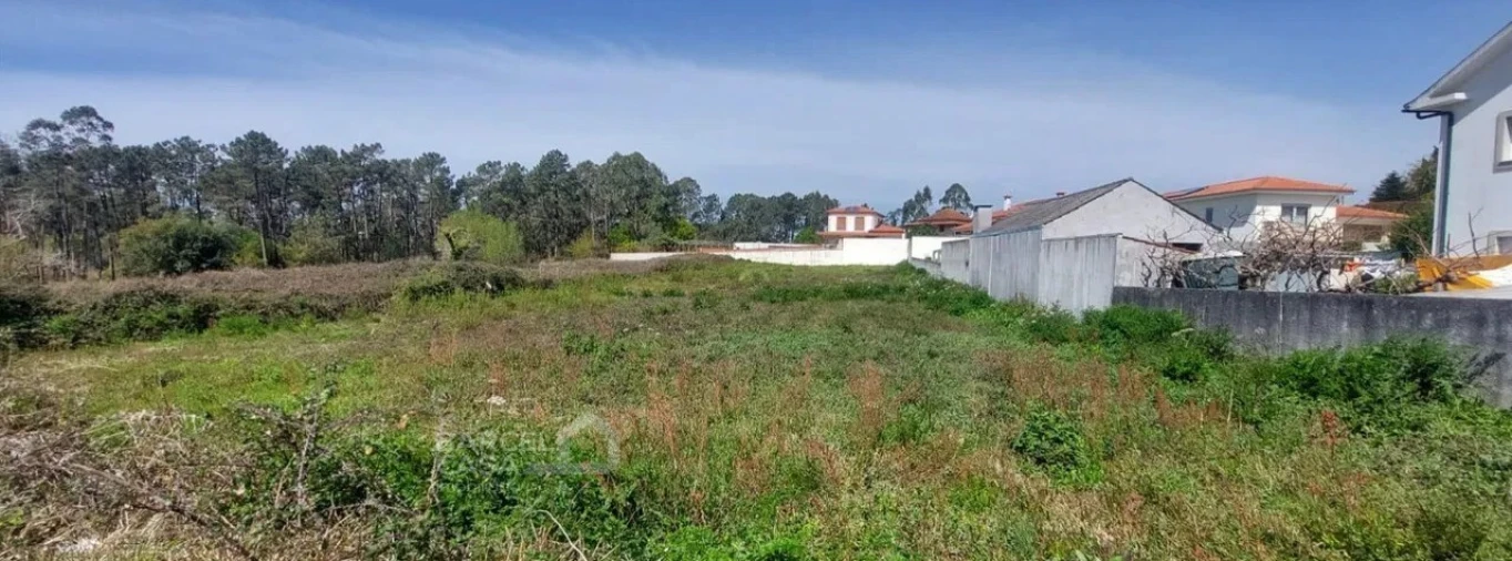 Terreno para Venda em Alvarães Foto 2