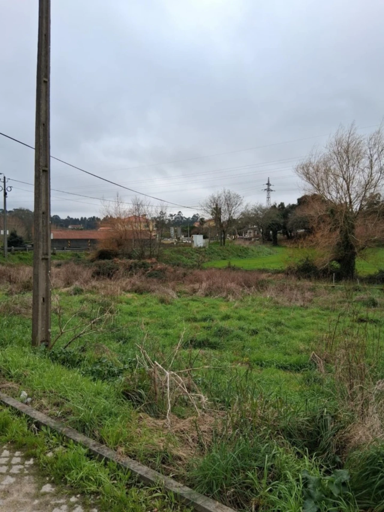 Terreno para Venda em Palmeira de Faro e Curvos Foto 1