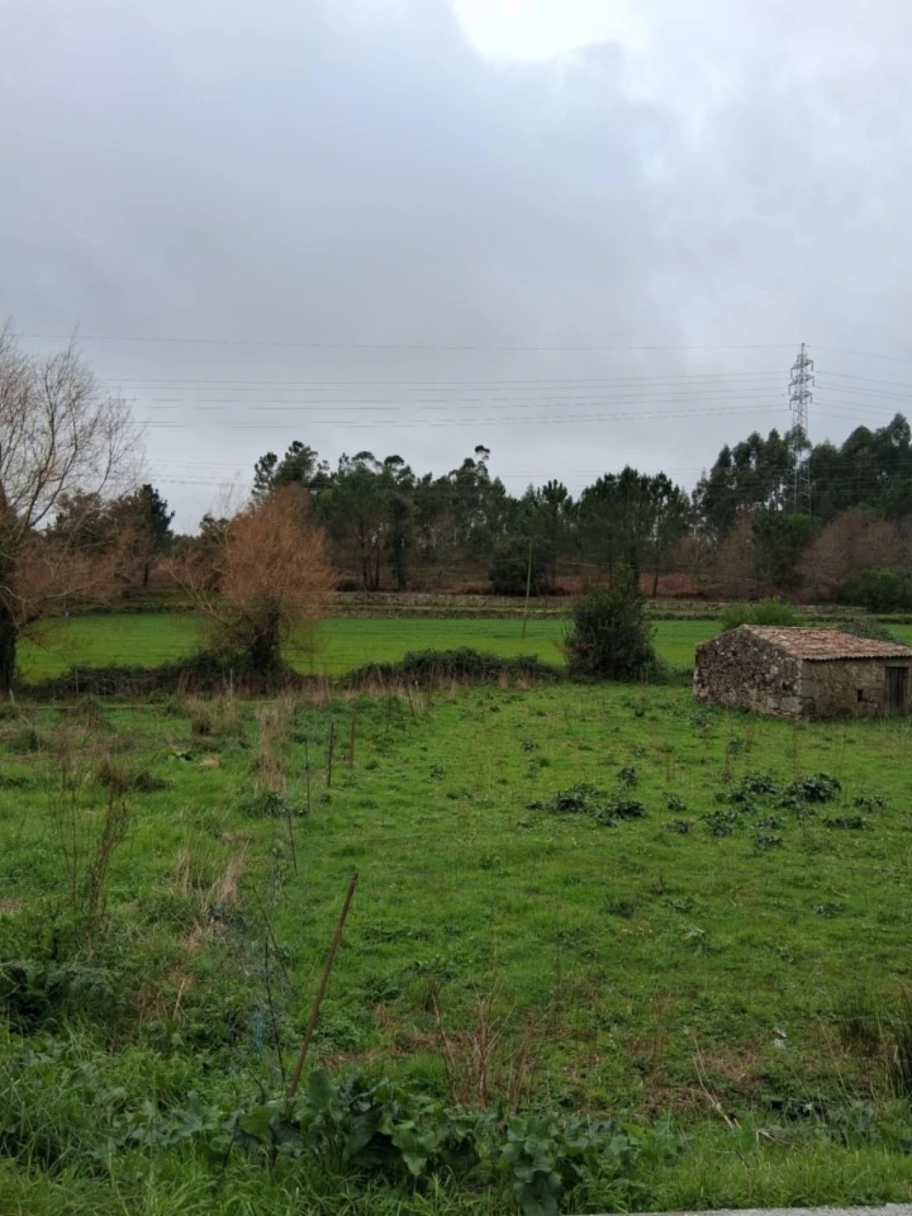 Terreno para Venda em Palmeira de Faro e Curvos Foto 5