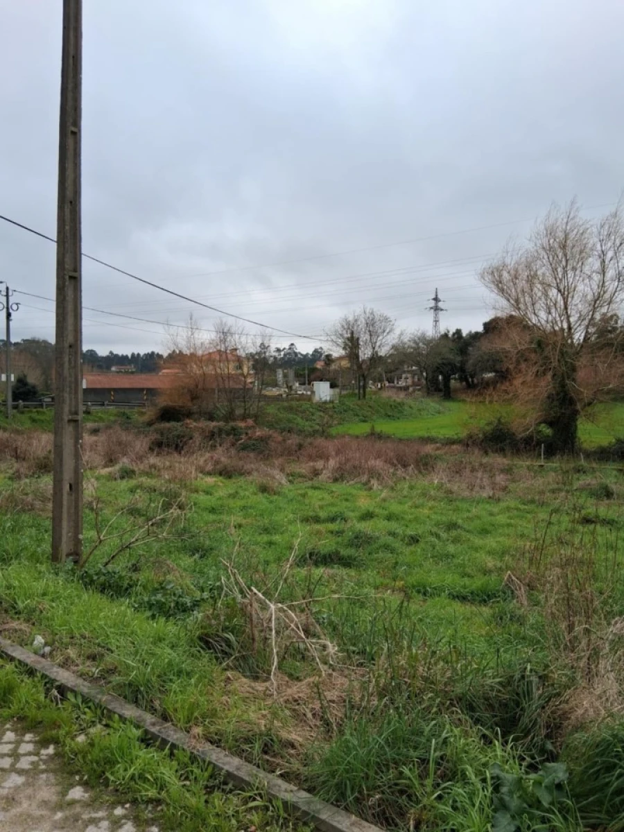 Terreno para Venda em Palmeira de Faro e Curvos Foto 1