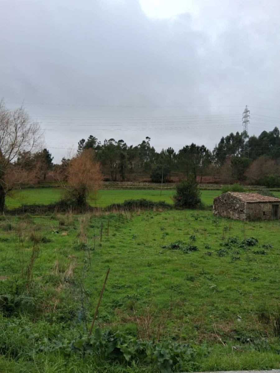 Terreno para Venda em Palmeira de Faro e Curvos Foto 5