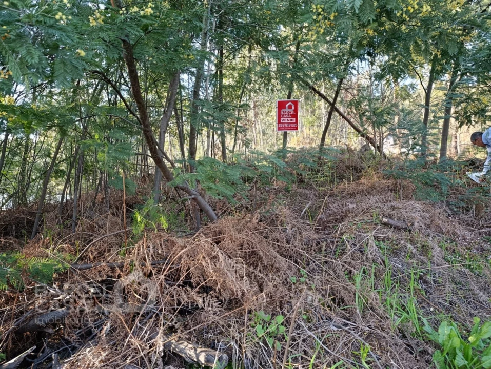 Terreno para Venda em Pico de Regalados, Gondiães e Mós Foto 4