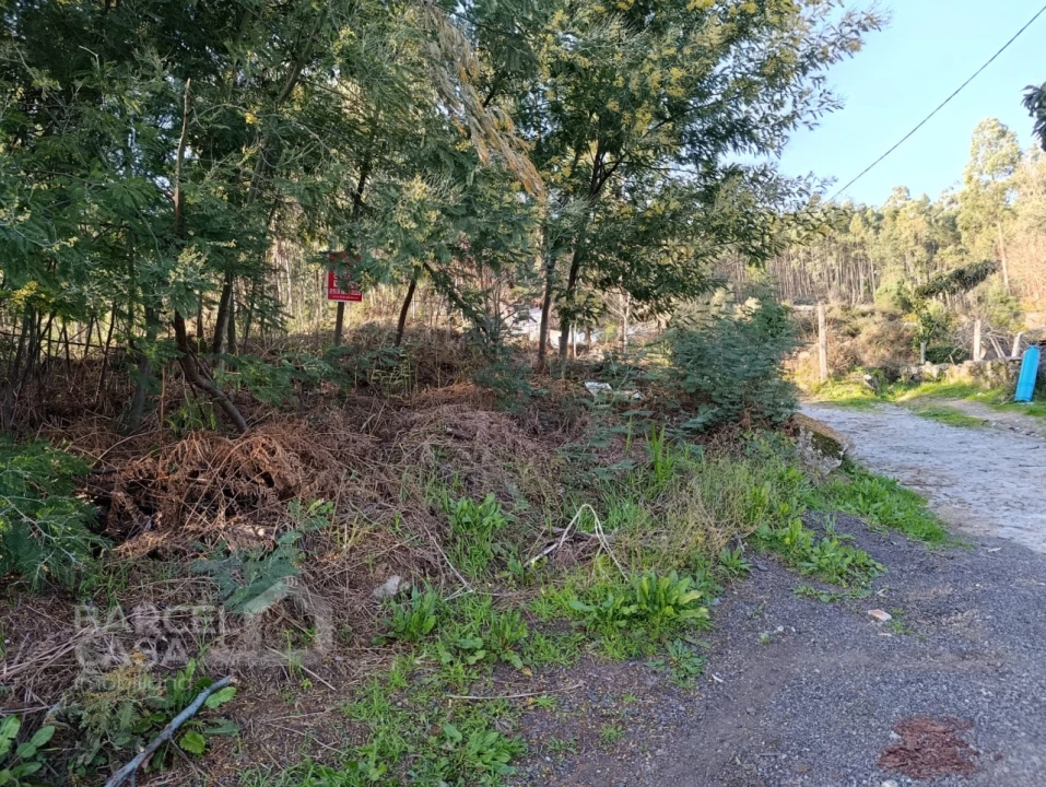 Terreno para Venda em Pico de Regalados, Gondiães e Mós Foto 6