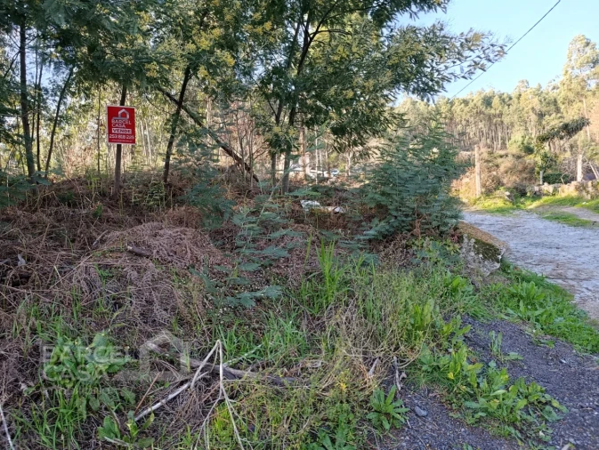 Terreno para Venda em Pico de Regalados, Gondiães e Mós Foto 2