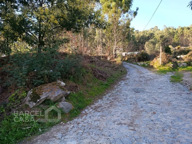 Terreno para Venda em Pico de Regalados, Gondiães e Mós Foto 1