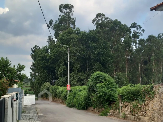Terreno para Venda em Alvito (São Pedro e São Martinho) e Couto Foto 1