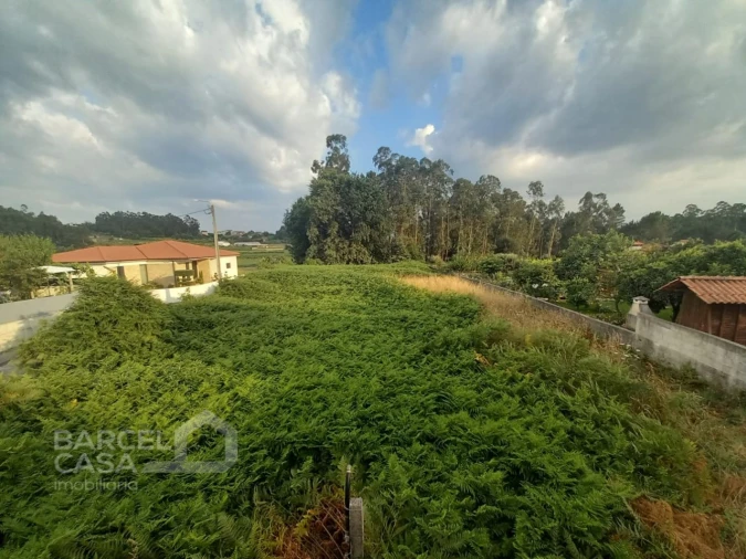 Terreno para Venda em Alvito (São Pedro e São Martinho) e Couto Foto 5