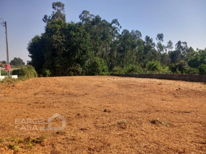 Terreno para Venda em Alvito (São Pedro e São Martinho) e Couto Foto 3