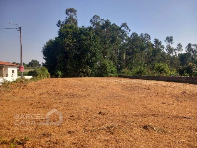 Terreno para Venda em Alvito (São Pedro e São Martinho) e Couto Foto 4