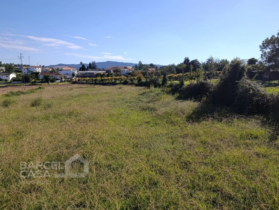 Terreno para Venda em Lama Foto 4