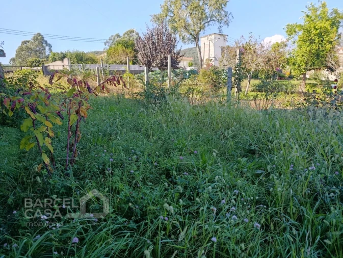 Terreno para Venda em Lama Foto 5