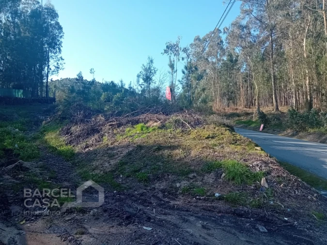Terreno para Venda em Chorente, Góios, Courel, Pedra Furada e Gueral Foto 3