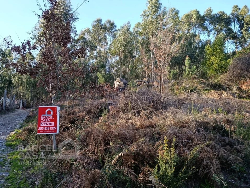 Terreno para Venda em Pico de Regalados, Gondiães e Mós Foto 2