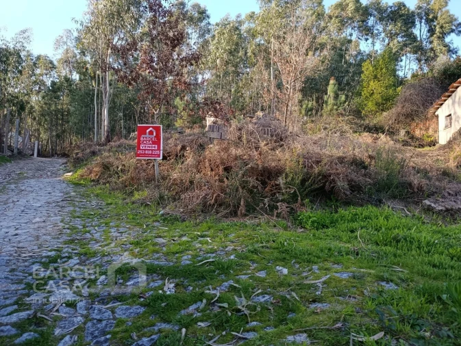 Terreno para Venda em Pico de Regalados, Gondiães e Mós Foto 1
