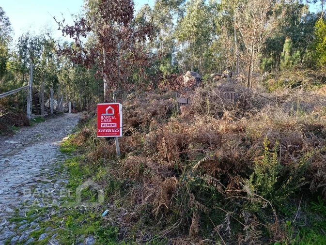 Terreno para Venda em Pico de Regalados, Gondiães e Mós Foto 3
