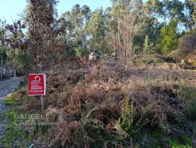 Terreno para Venda em Pico de Regalados, Gondiães e Mós Foto 4