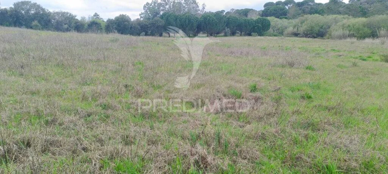 Terreno para Venda em Cabeção Foto 5