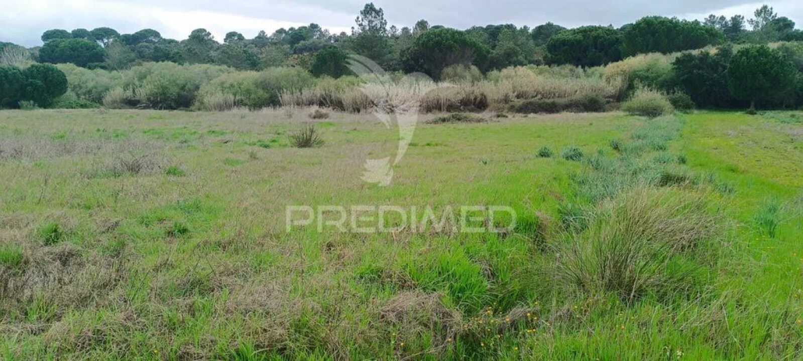 Terreno para Venda em Cabeção Foto 2