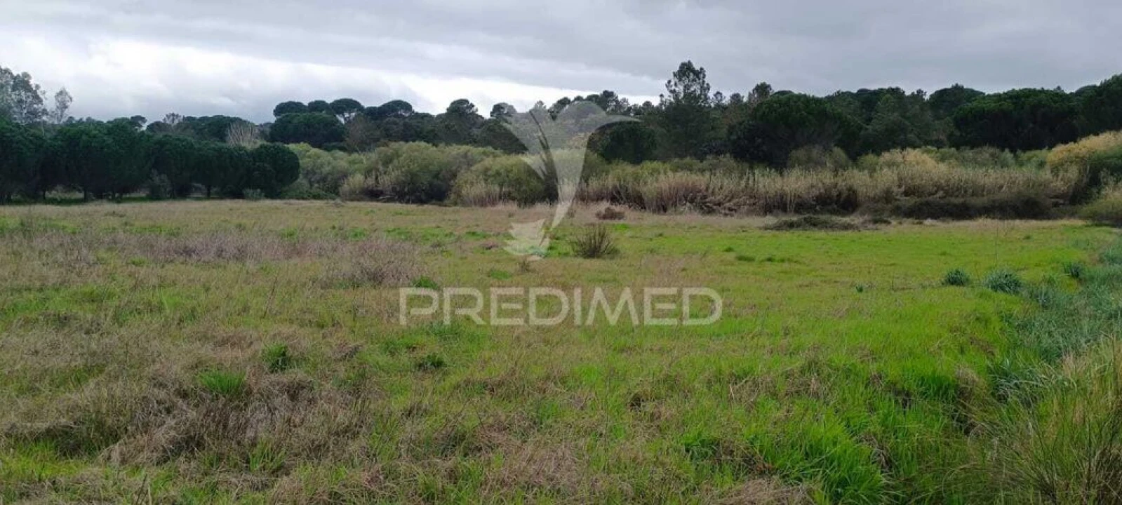 Terreno para Venda em Cabeção Foto 3