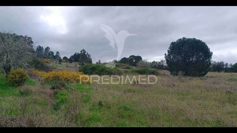 Terreno para Venda em Cabeção