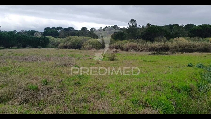 Terreno para Venda em Cabeção