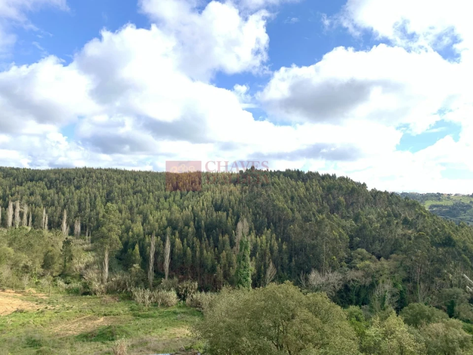 Terreno para Venda em Mafra Foto 2