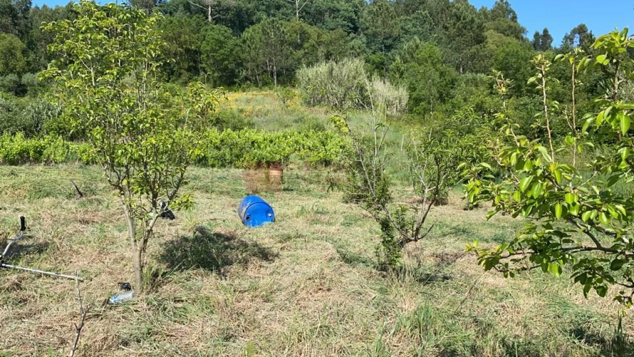 Terreno para Venda em Mafra Foto 8
