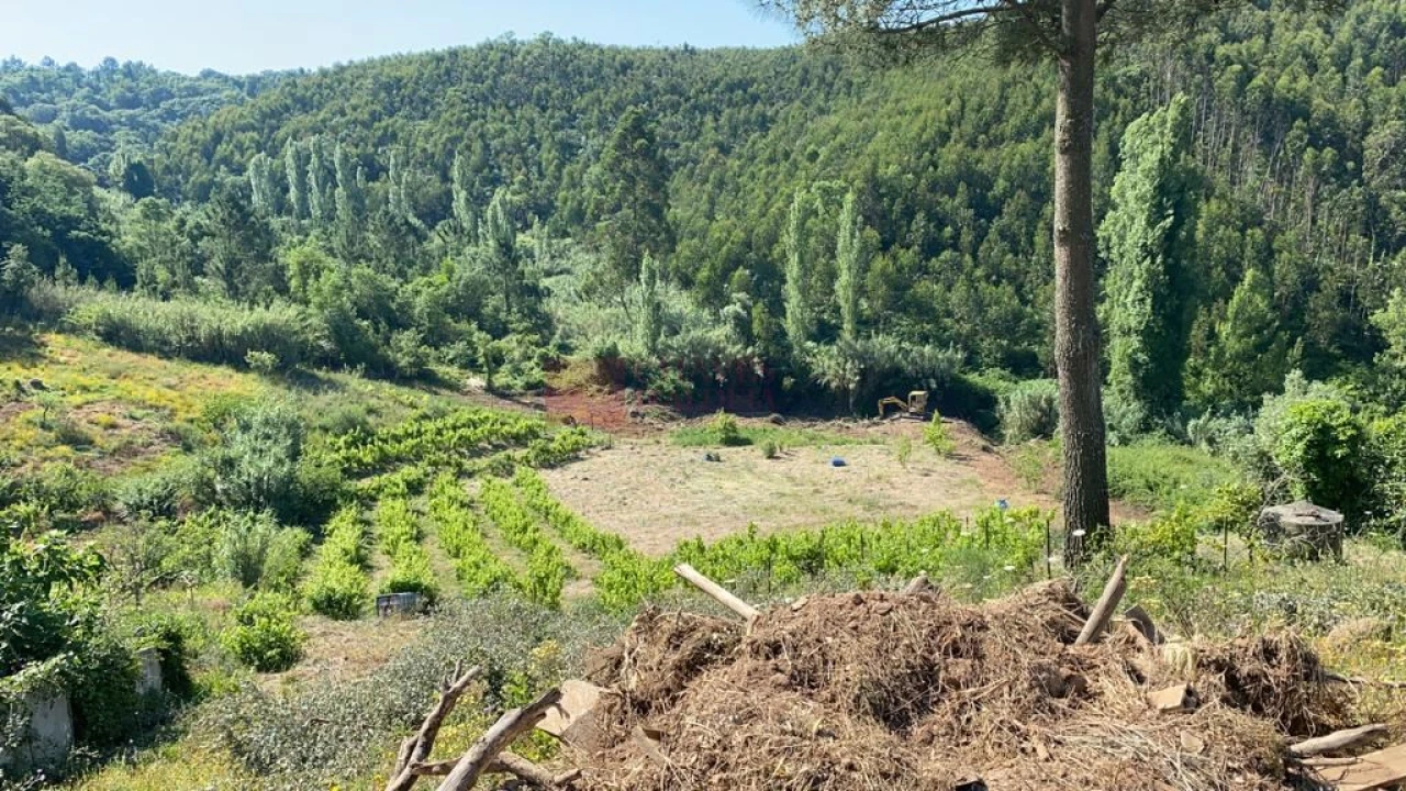 Terreno para Venda em Mafra Foto 7