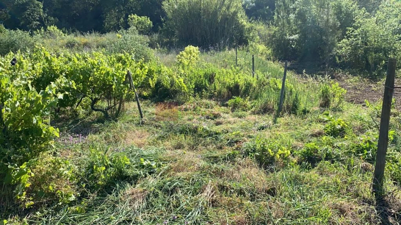 Terreno para Venda em Mafra Foto 9