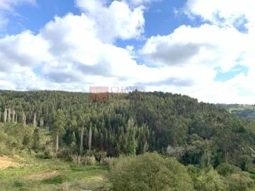 Terreno para Venda em Mafra