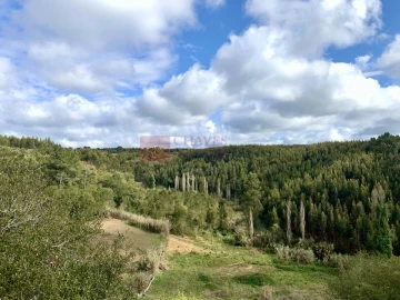 Terreno para Venda em Mafra