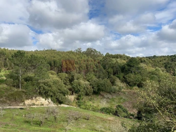 Terreno para Venda em Mafra