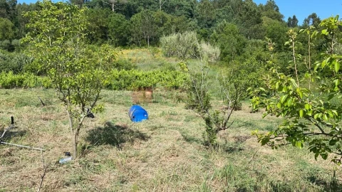 Terreno para Venda em Mafra