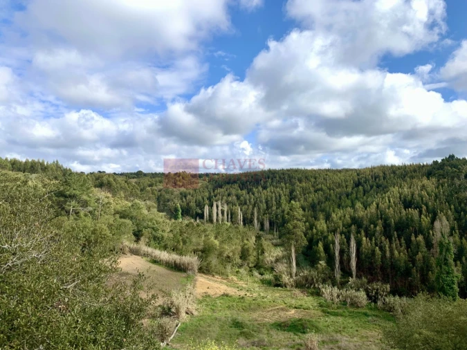 Terreno para Venda em Mafra Foto 5