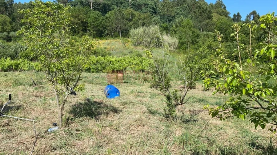 Terreno para Venda em Mafra Foto 8