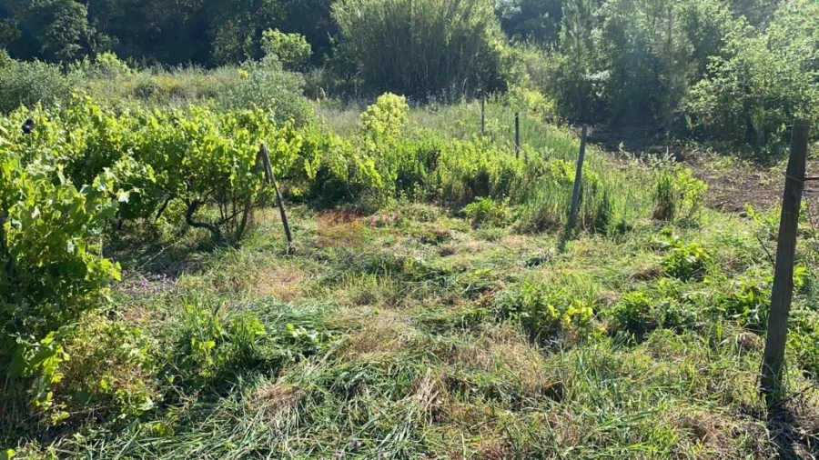 Terreno para Venda em Mafra Foto 9