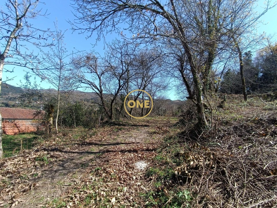 Terreno para Venda em Balança Foto 2